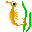 fish-0208.gif