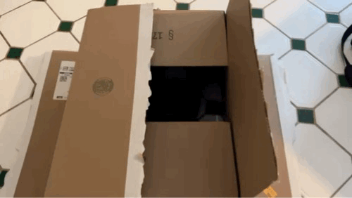 Kittay!.GIF