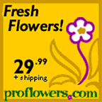 ads.eudora.com:3B74D384